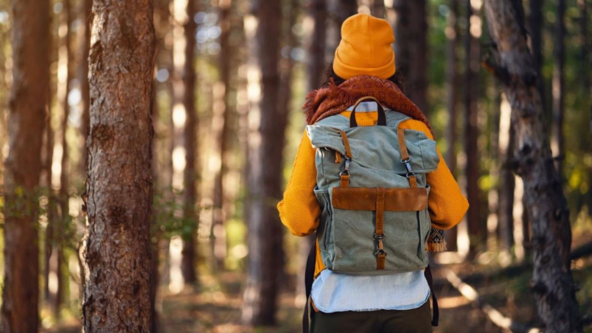 student staring at forest