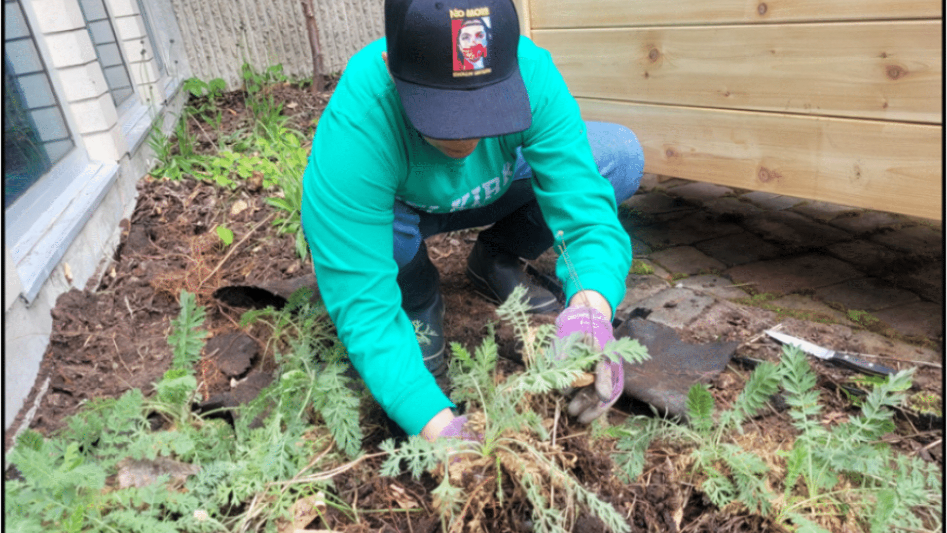 Picking plants
