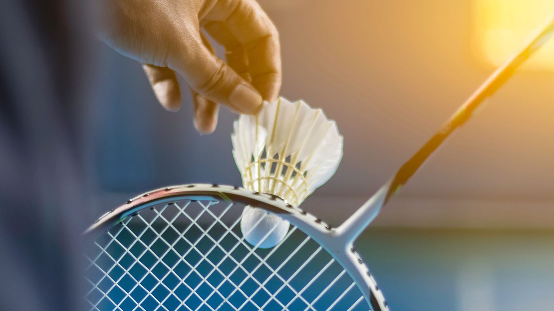 badminton close up about to serve