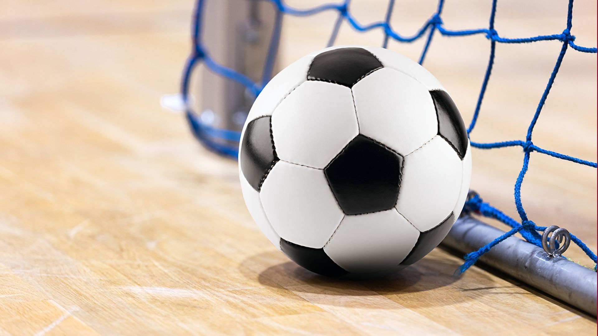 indoor soccer ball resting near a net