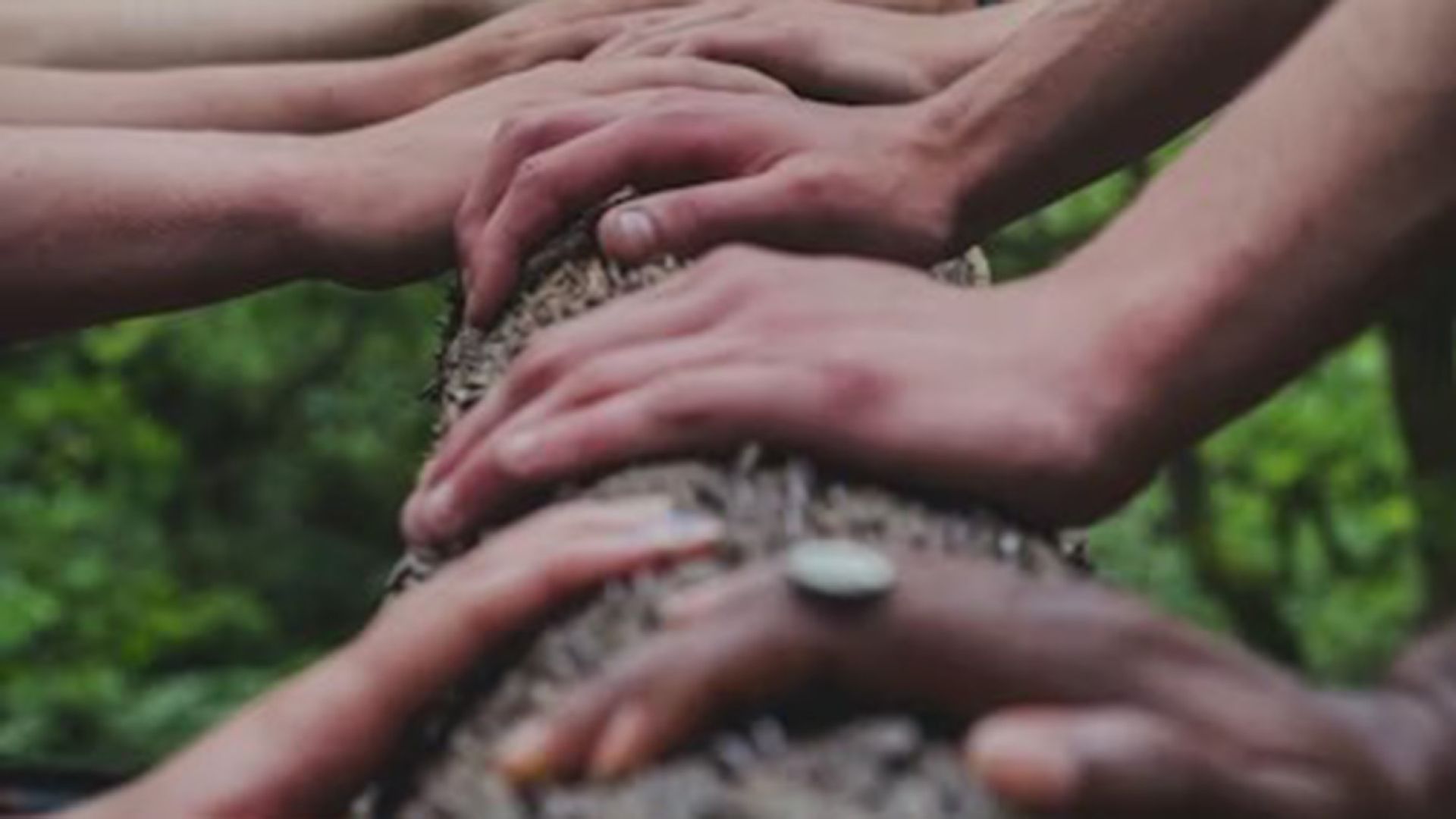Hands rest on a tree trunk