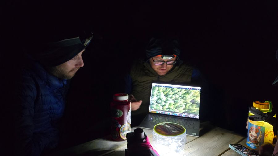 Darkwoods night-time fieldwork
