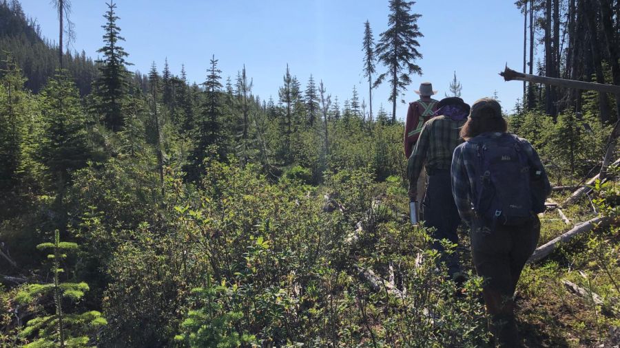 GIS & Natural Resource Management fieldwork