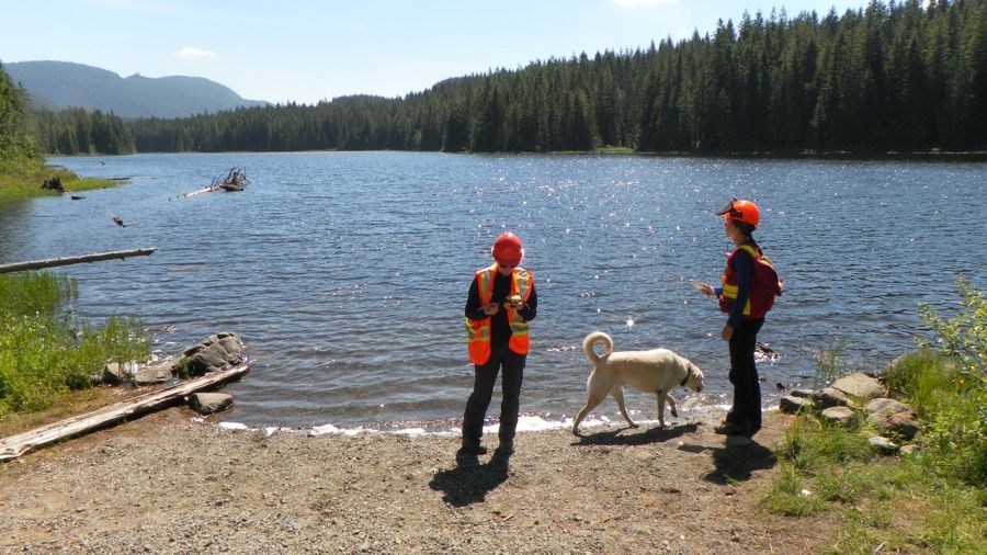 Co-op students working outside near a lake in summer