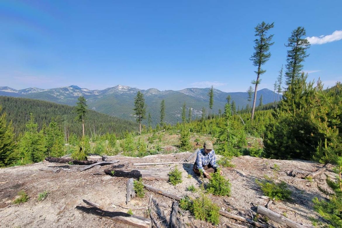 A student intern works outside