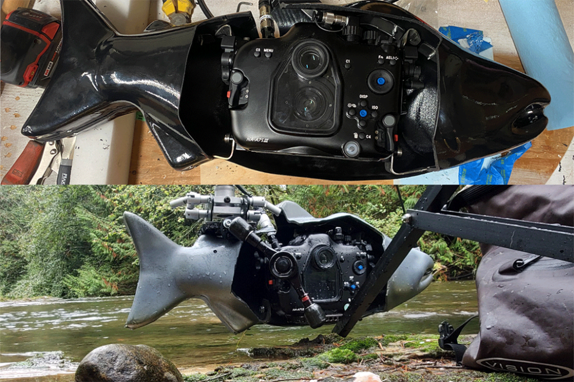 Fish Technology, Interactive Display