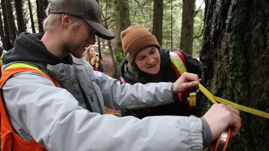 Forest Technology Program students measuring a grand fir