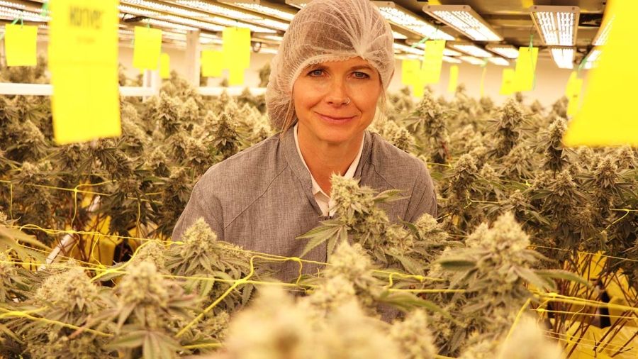 Selkirk Innovates reasearch lead Tracey Harvey in the Woody Nelson production facility with cannabis plants