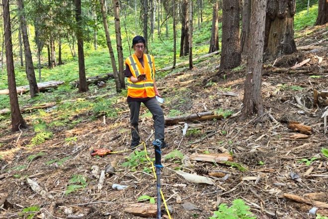 A student wearing an orange vest works in a forest